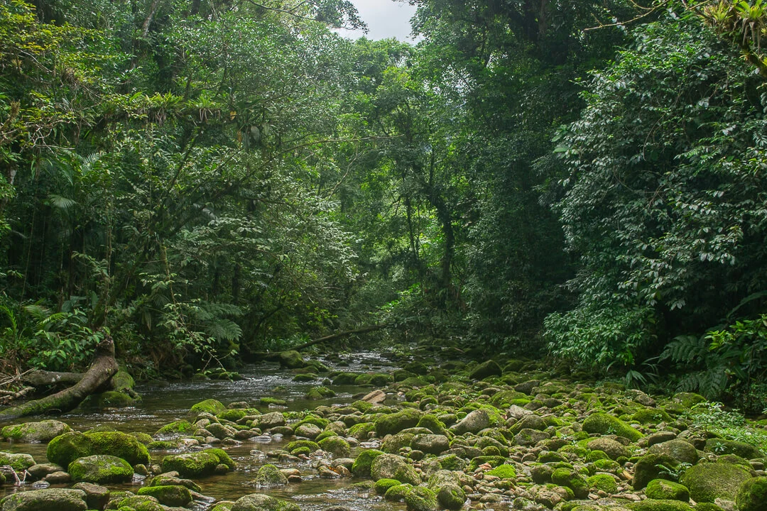 Parque Estadual Restinga de Bertioga